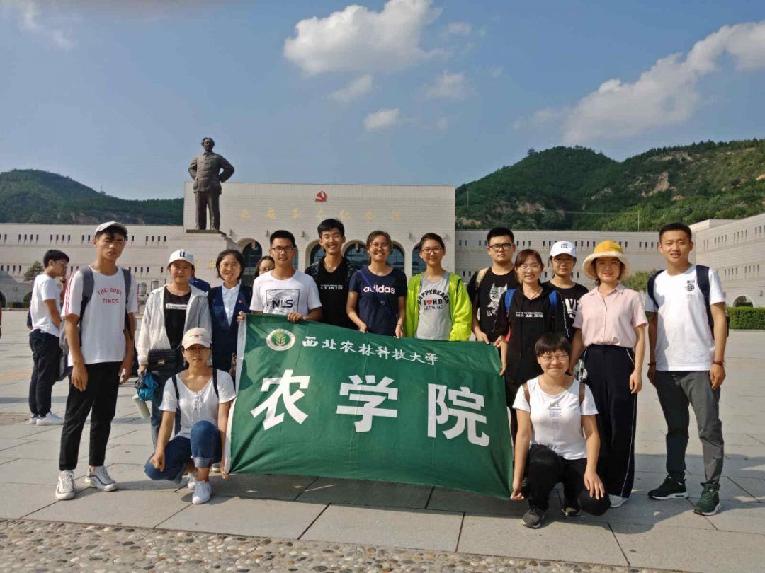美妙夏季拼图